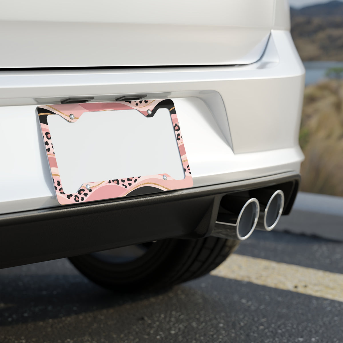 Metal License Plate Frame